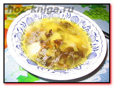 Картофельный суп со свежими грибами